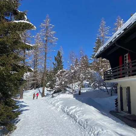 Spacieux Dans Le Val Ferret * Orsières